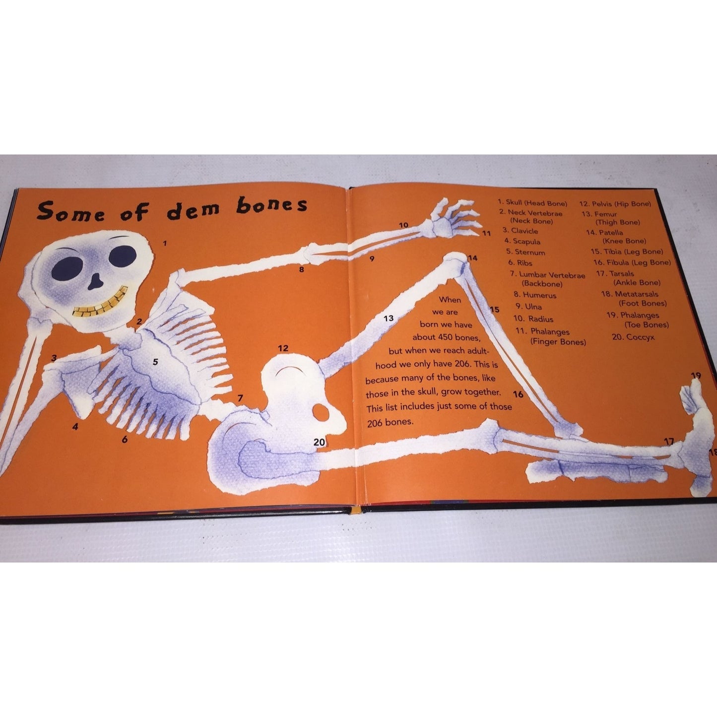 Dem Bones by Bob Barner Childrens Hardcover Book