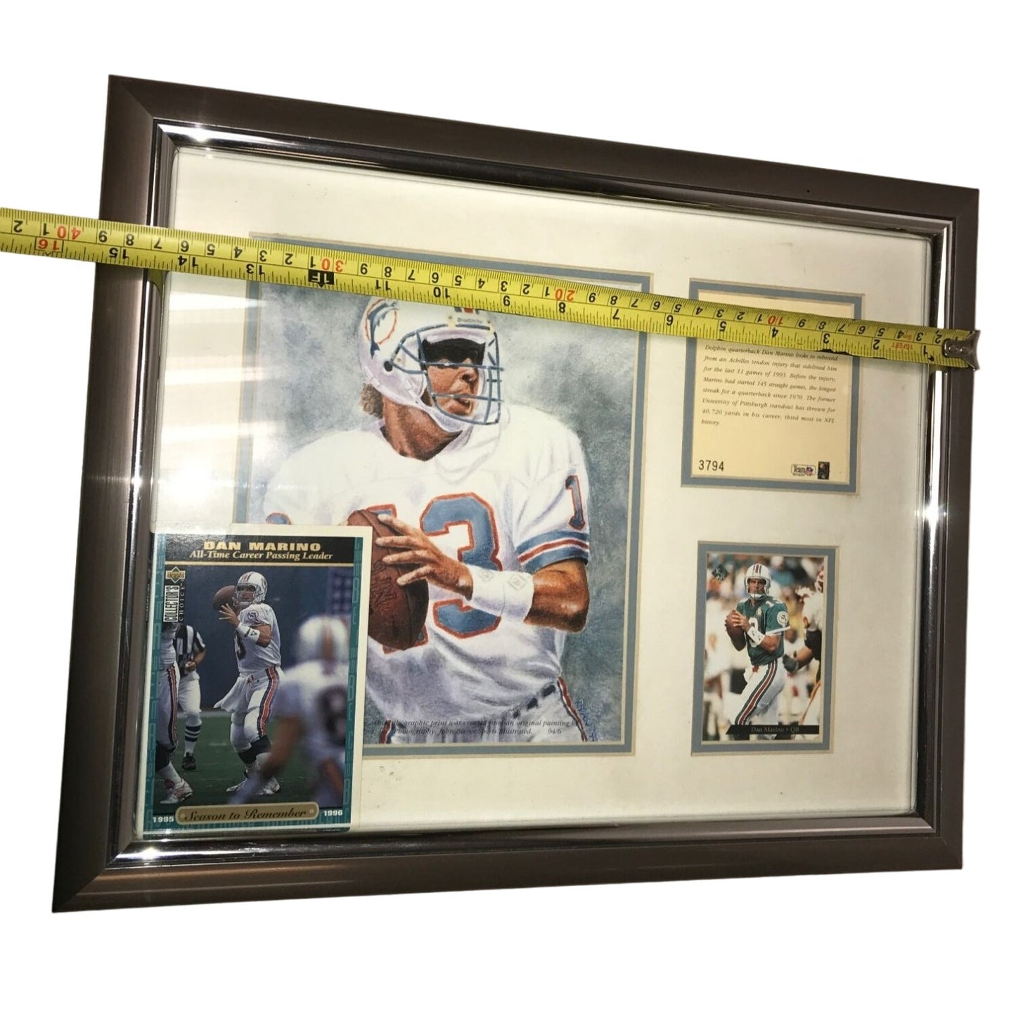 Dan Marino - BACK IN STRIDE - Team NFL Collectible collage limited edition