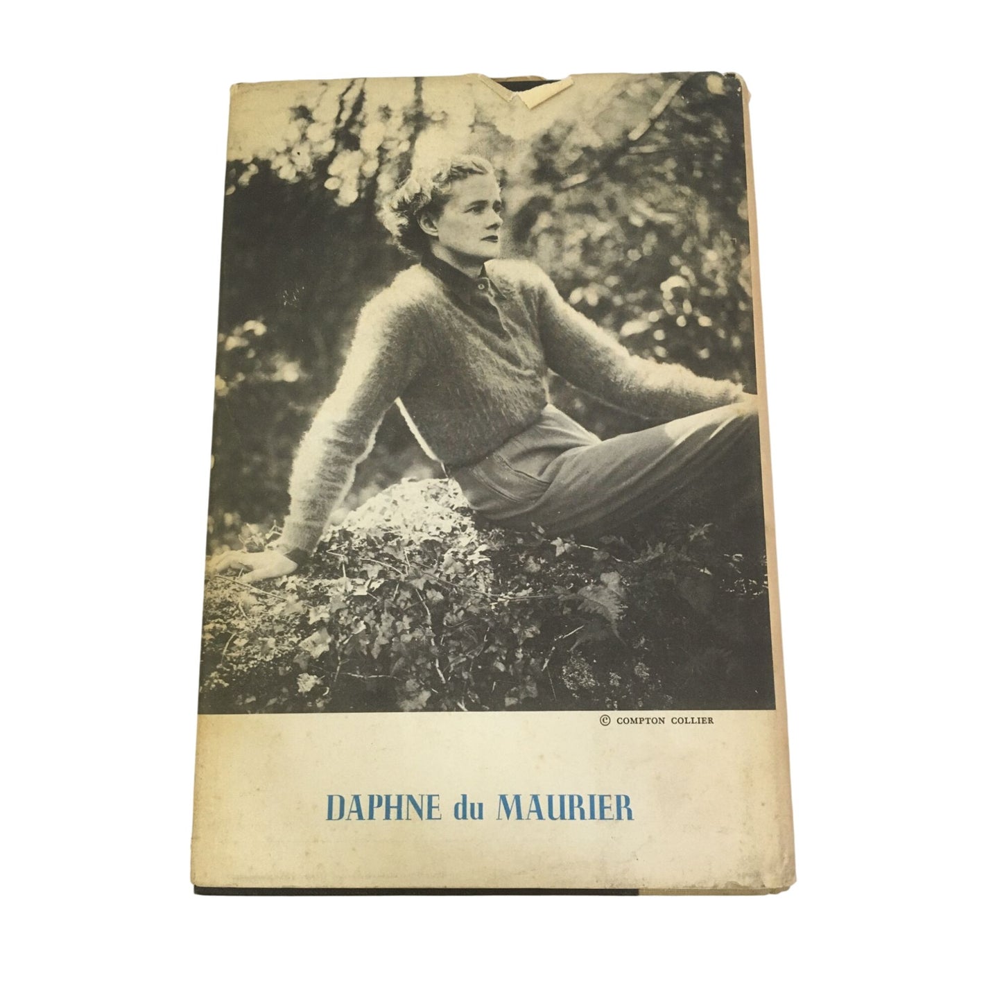 The Scapegoat Book by Daphne Du Maurier