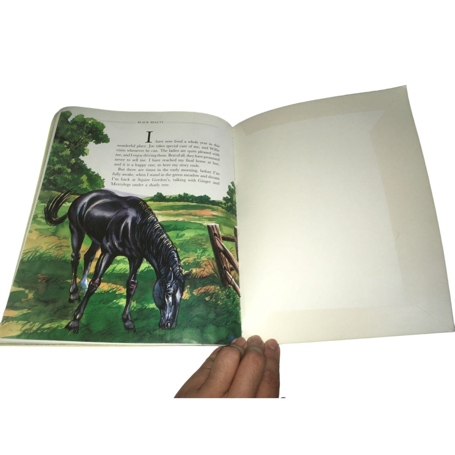 Black Beauty (Troll Illustrated Classics) Paperback book by Anna Sewell