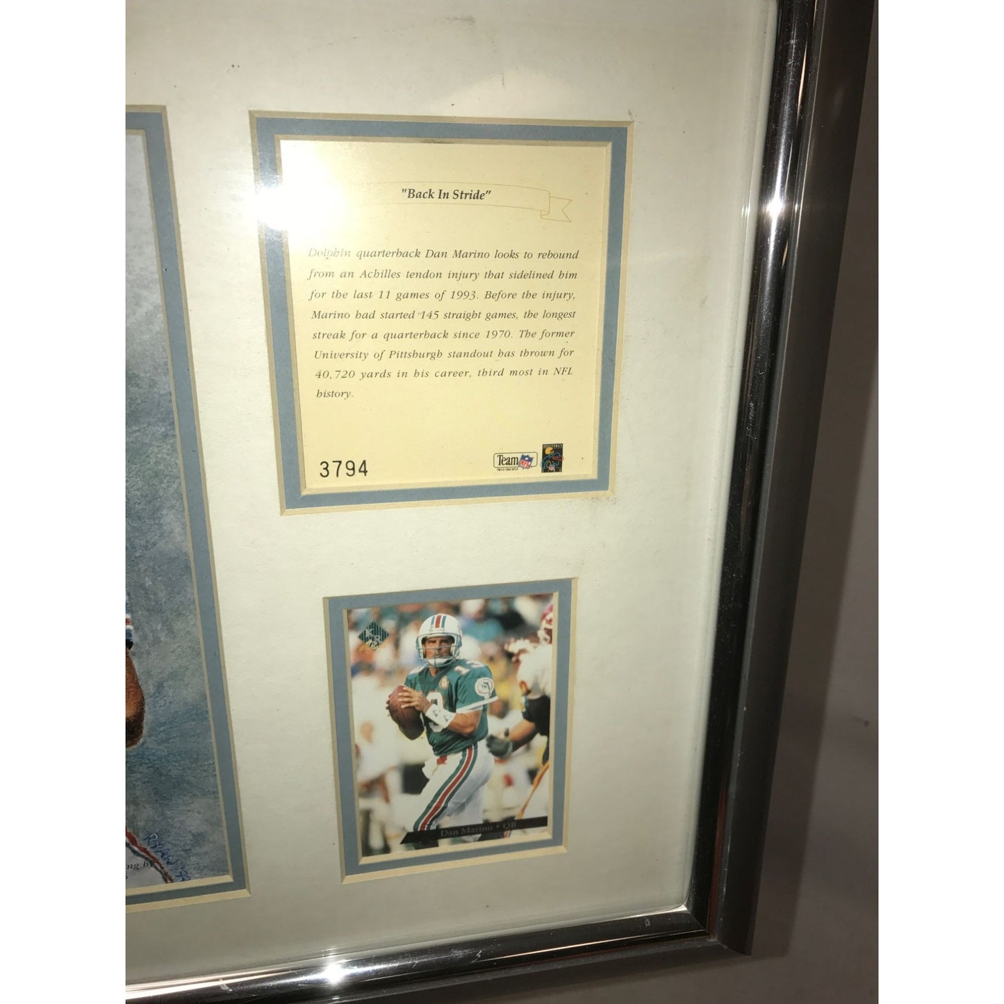 Dan Marino - BACK IN STRIDE - Team NFL Collectible collage limited edition