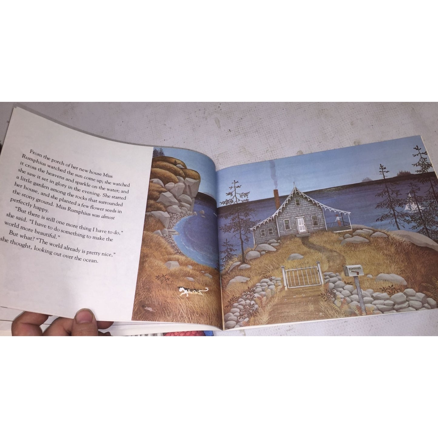 Miss Rumphius by Barbara Cooney Picture Story Book