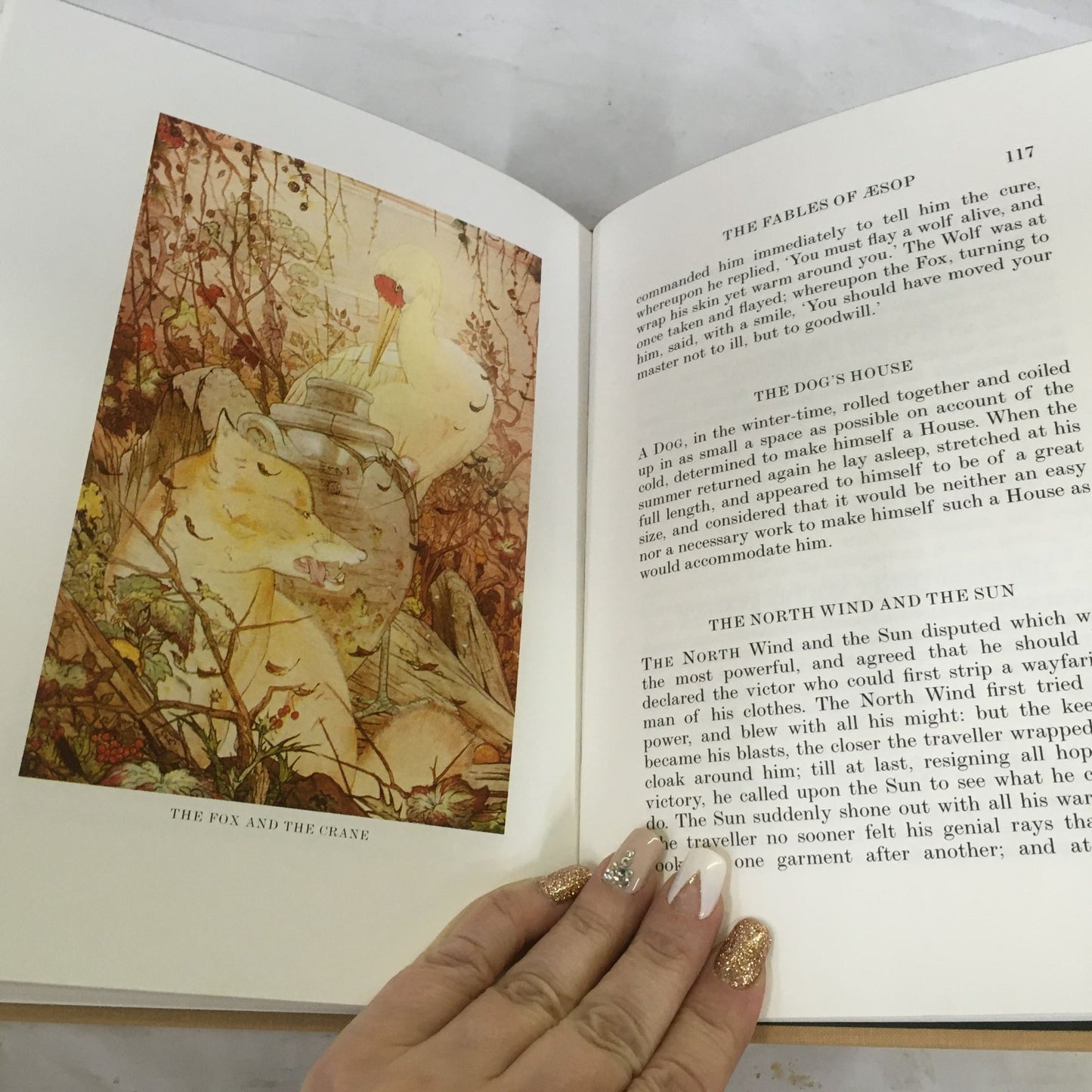 The Fables of Aesop Illustrated in Colour by Edward J Detmold Book