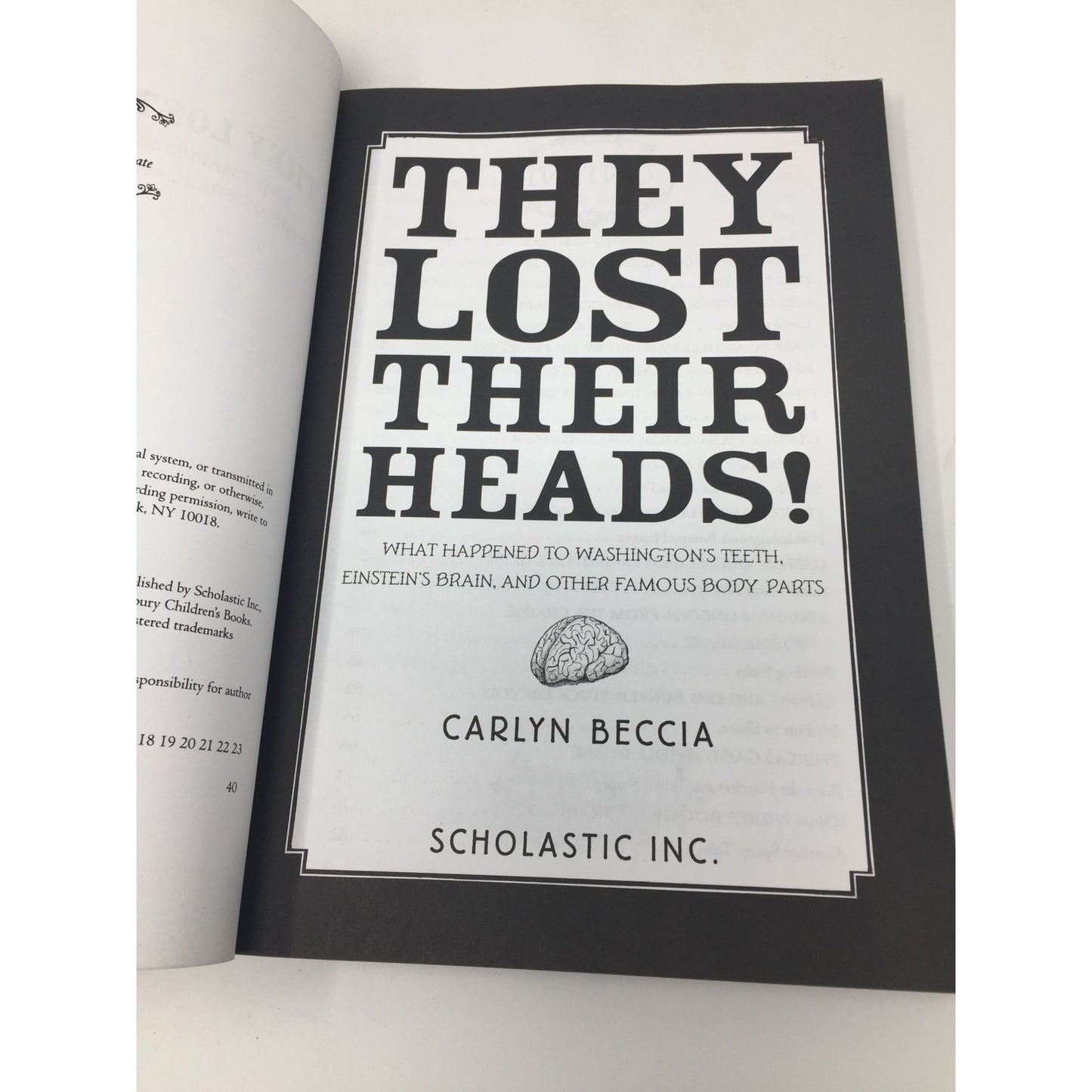 They Lost Their Heads! by Carlyn Beccia