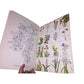 American Wildflowers Coloring Book by Paul Kennedy Dover Coloring Book