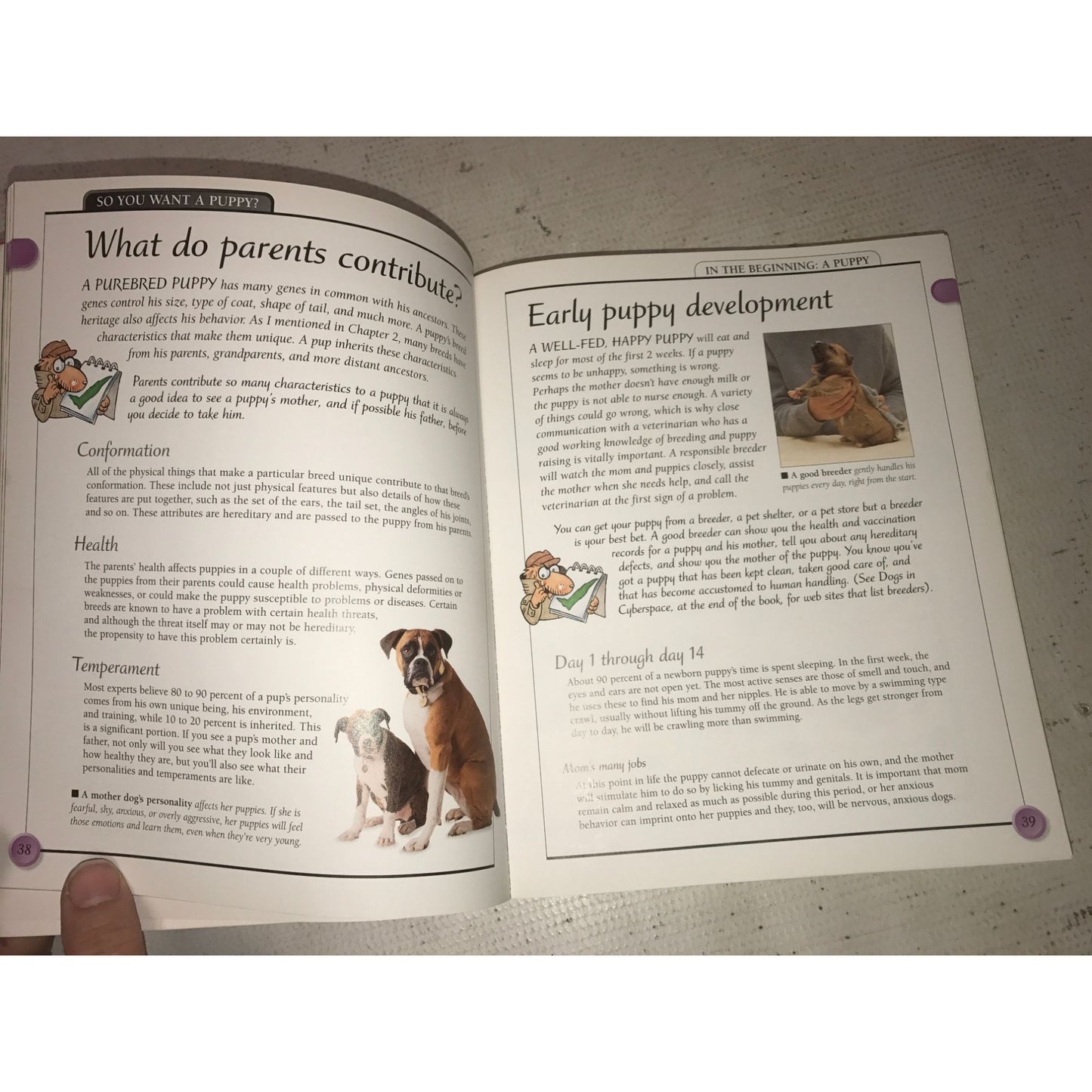 Kiss Guide to Raising a Puppy book by Liz Palika