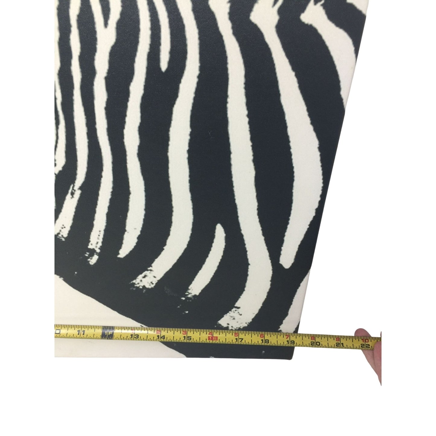 Fun Zebra Canvas Print 19.5" x 19.5" (Square) - Bold Art Piece