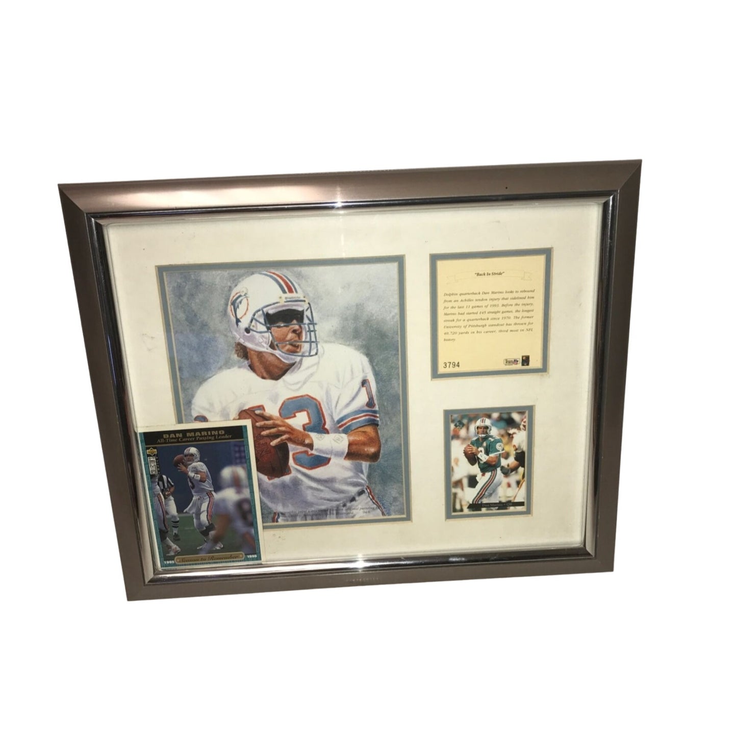 Dan Marino - BACK IN STRIDE - Team NFL Collectible collage limited edition