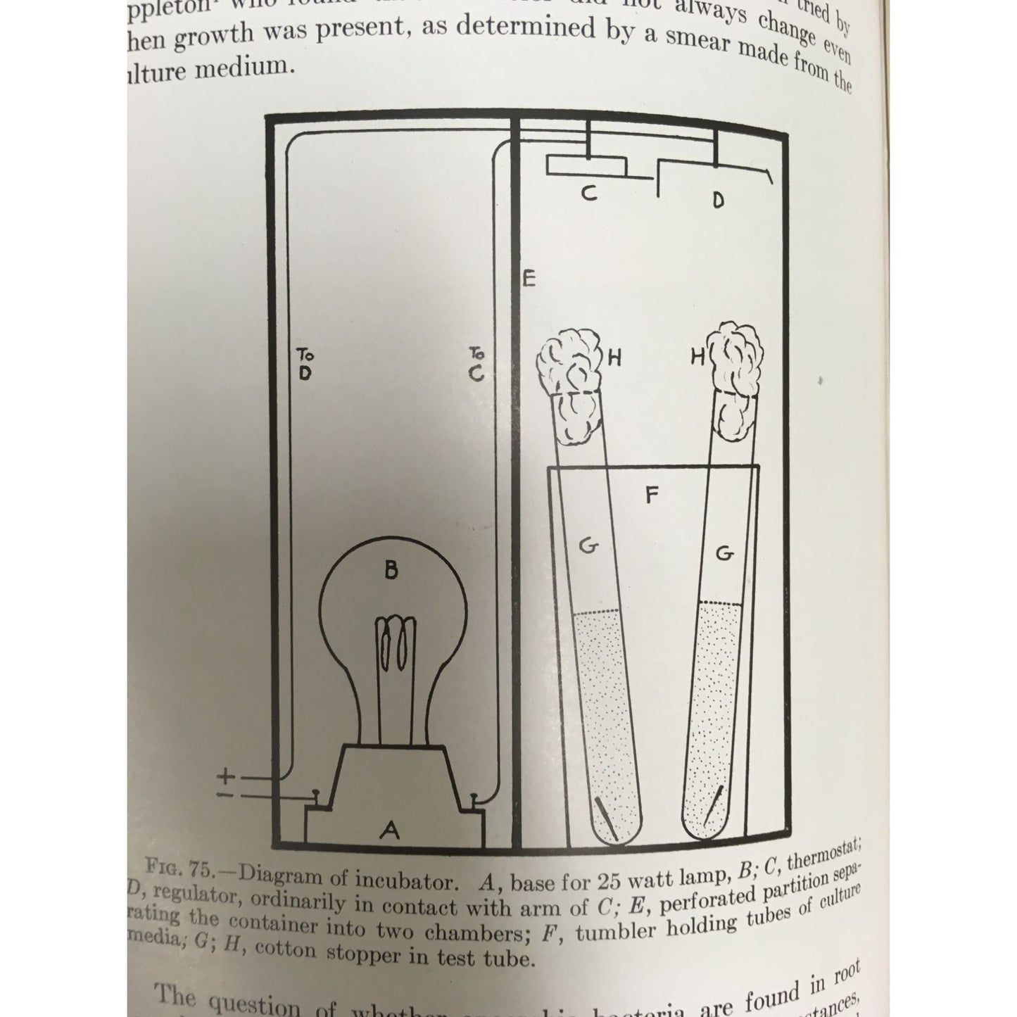 Vintage 1946 Root Canal Therapy book by Louis I. Grossman, D.D.S.