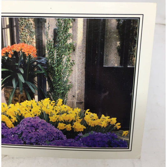 Longwood Gardens (A bright color combo in the Main Conservatory) Post card