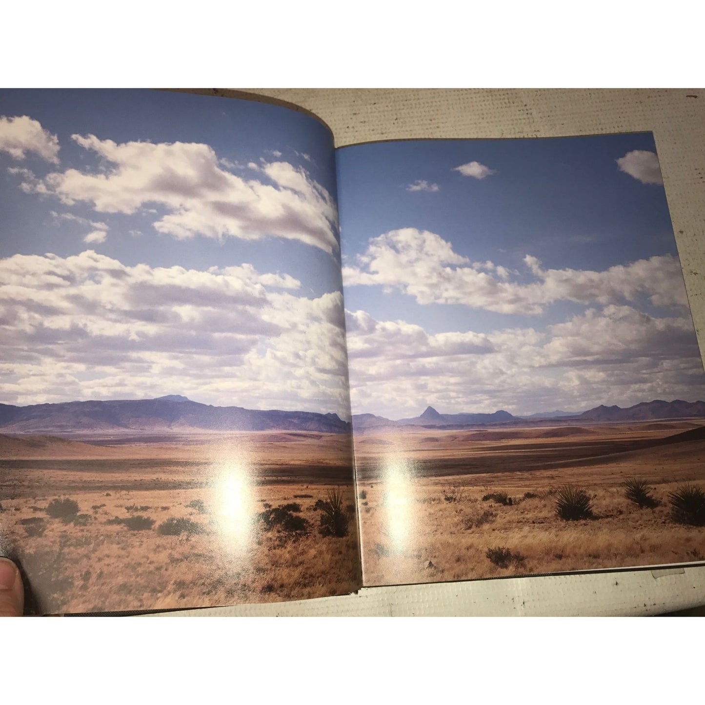 A Cowboy In The Kitchen Book by Grady Spears/Robb Walsh