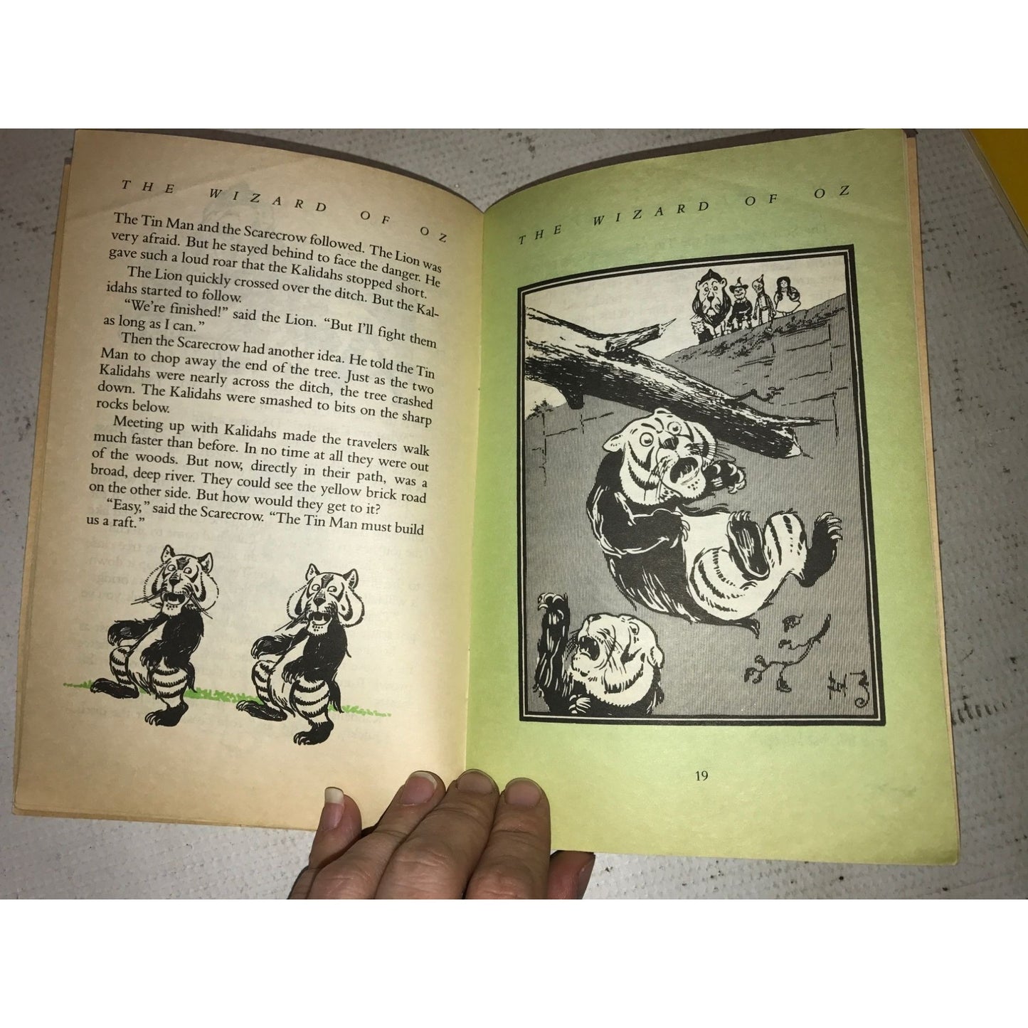 Amelia Bedelia Book by Peggy Parish and The Wizard of Oz Book by Frank Baum