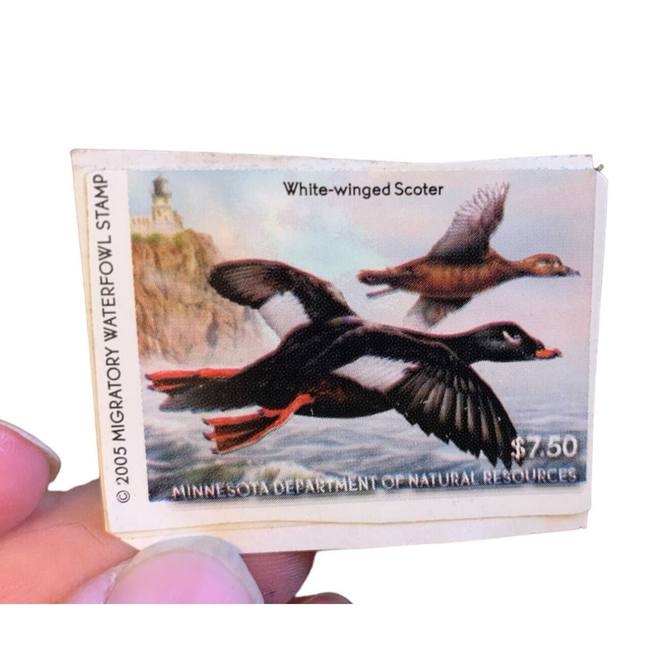 Vintage Collectible Migratory Bird Hunting & Conservation Stamps