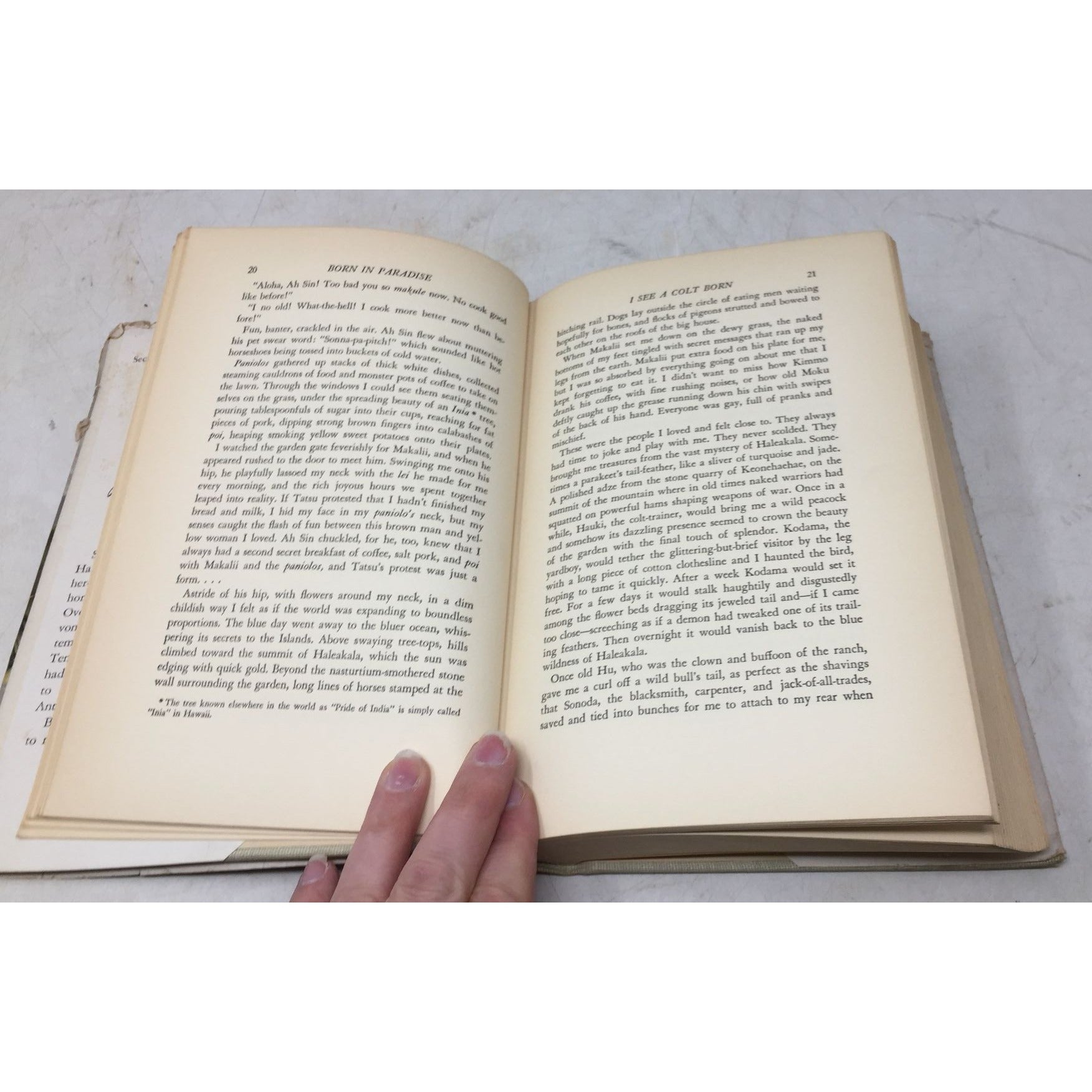 collectible copy of the book Born in Paradise by Armine Von Tempski unbranded  A+ Stuff Books