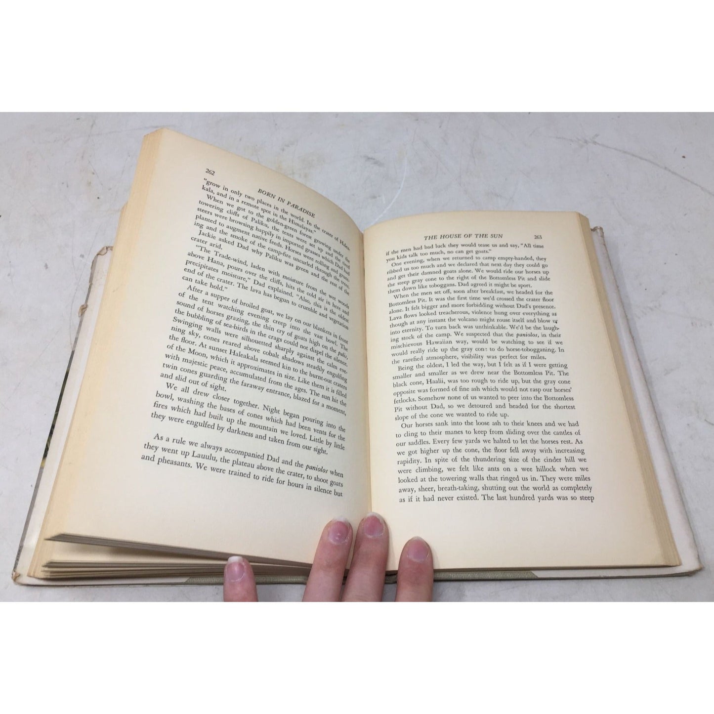 collectible copy of the book Born in Paradise by Armine Von Tempski unbranded  A+ Stuff Books