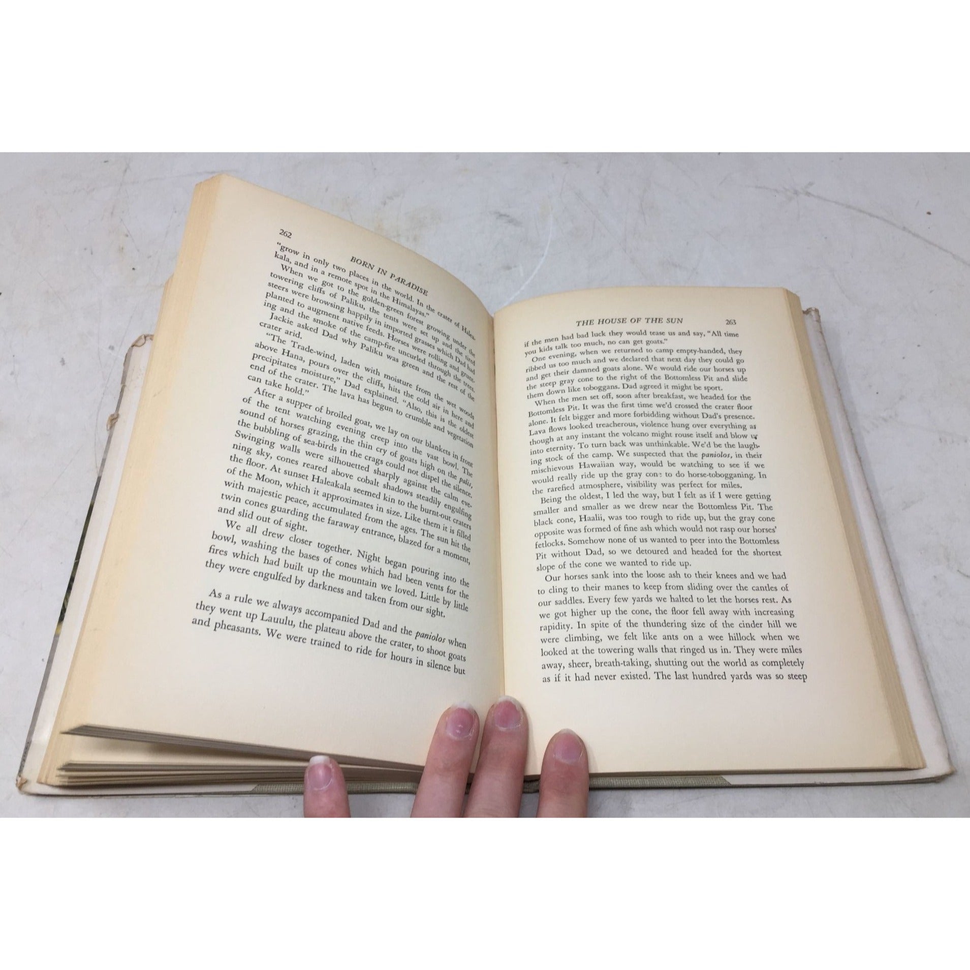 collectible copy of the book Born in Paradise by Armine Von Tempski unbranded  A+ Stuff Books