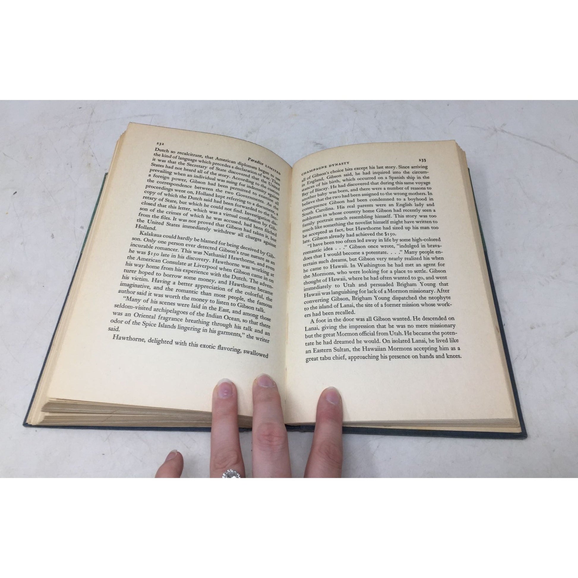 Vintage Hardcover Copy of The Far Side of Paradise: A Biography of F. Scott Fitzgerald unbranded  A+ Stuff Vintage Books