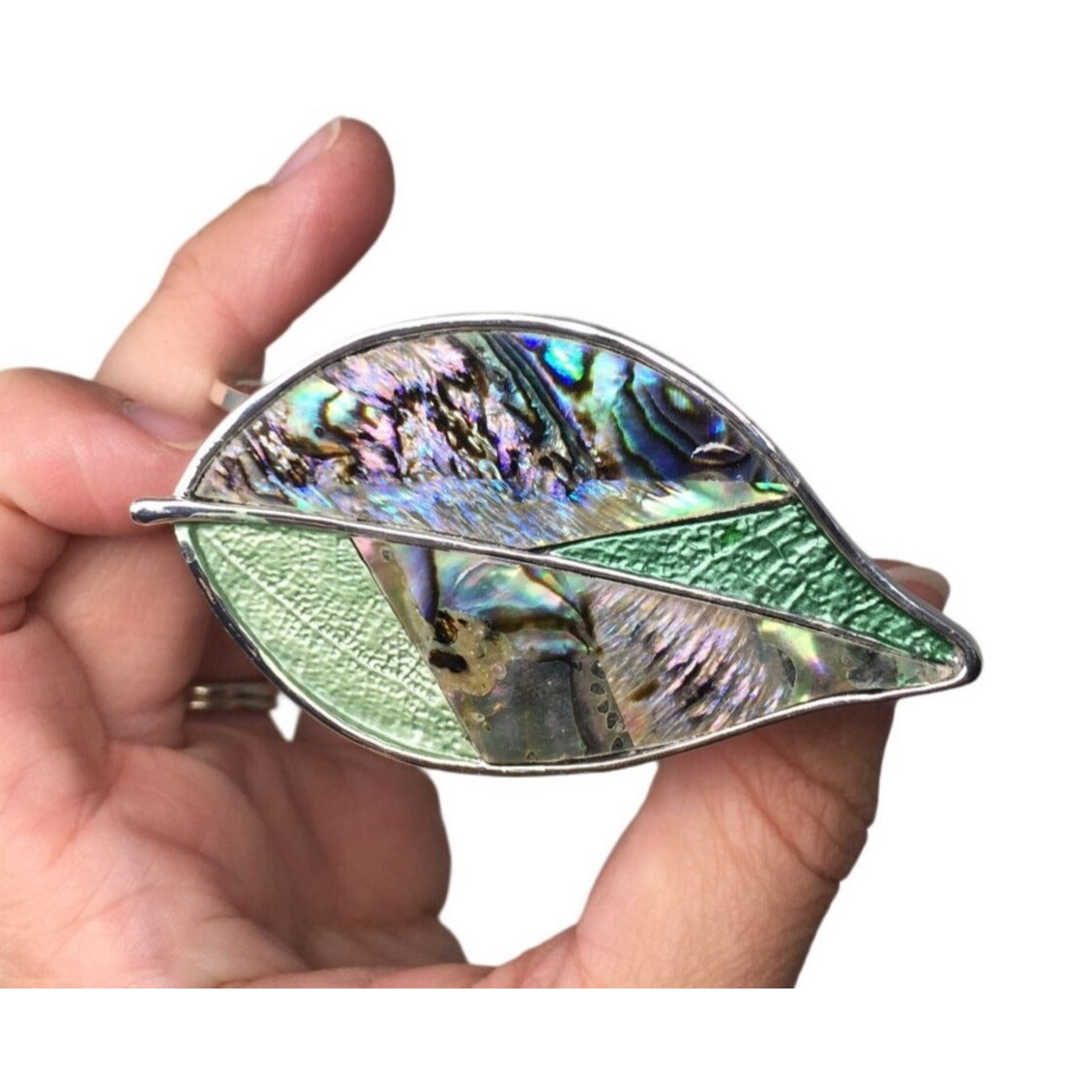 Fashion Jewelry Genuine Abalone Fashion Bangle- New with Tags