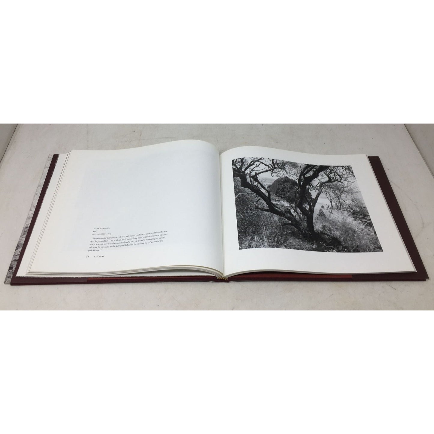 Pana O'ahu: Sacred Stones, Sacred Land by Jan Becket and Joseph Singer unbranded  A+ Stuff Books