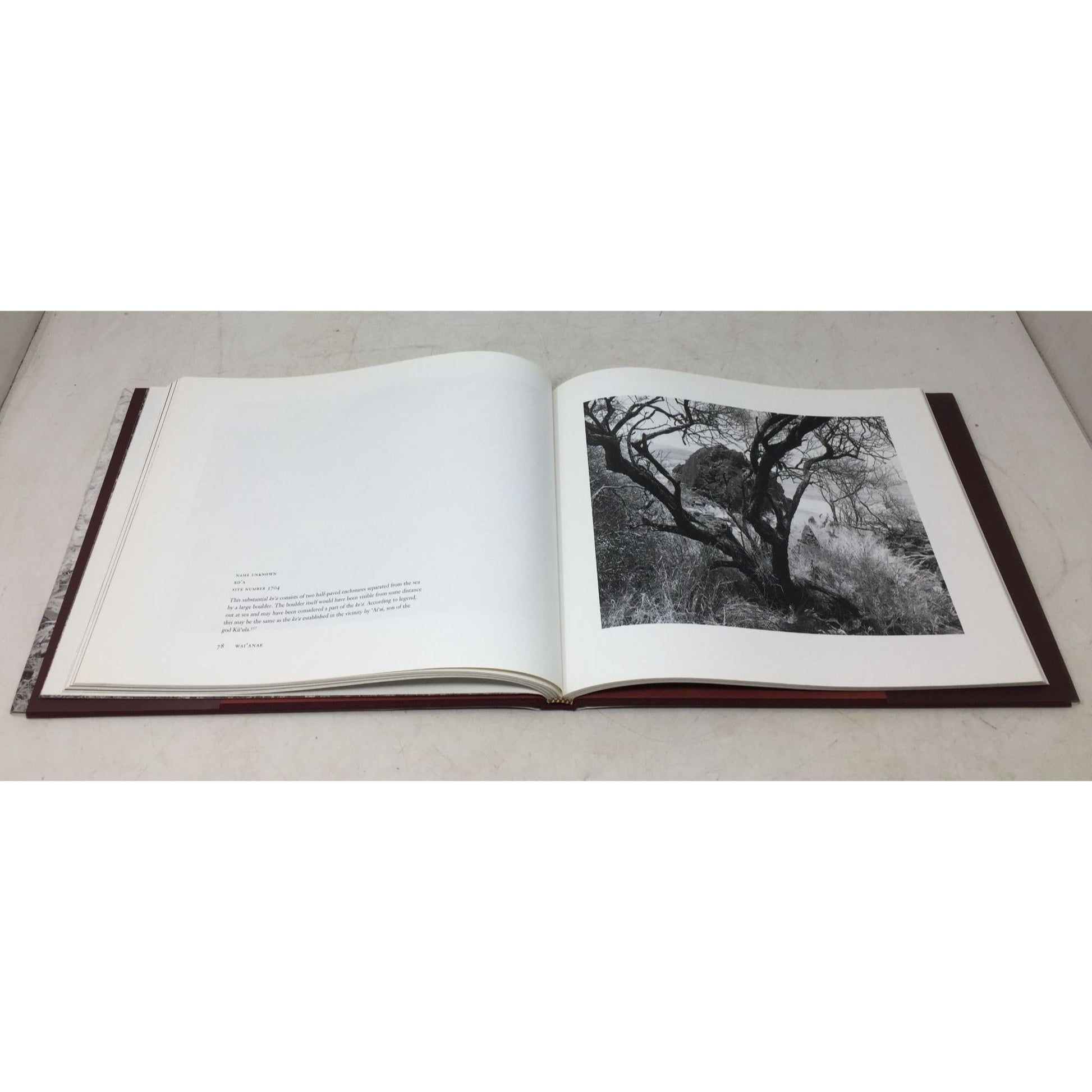 Pana O'ahu: Sacred Stones, Sacred Land by Jan Becket and Joseph Singer unbranded  A+ Stuff Books