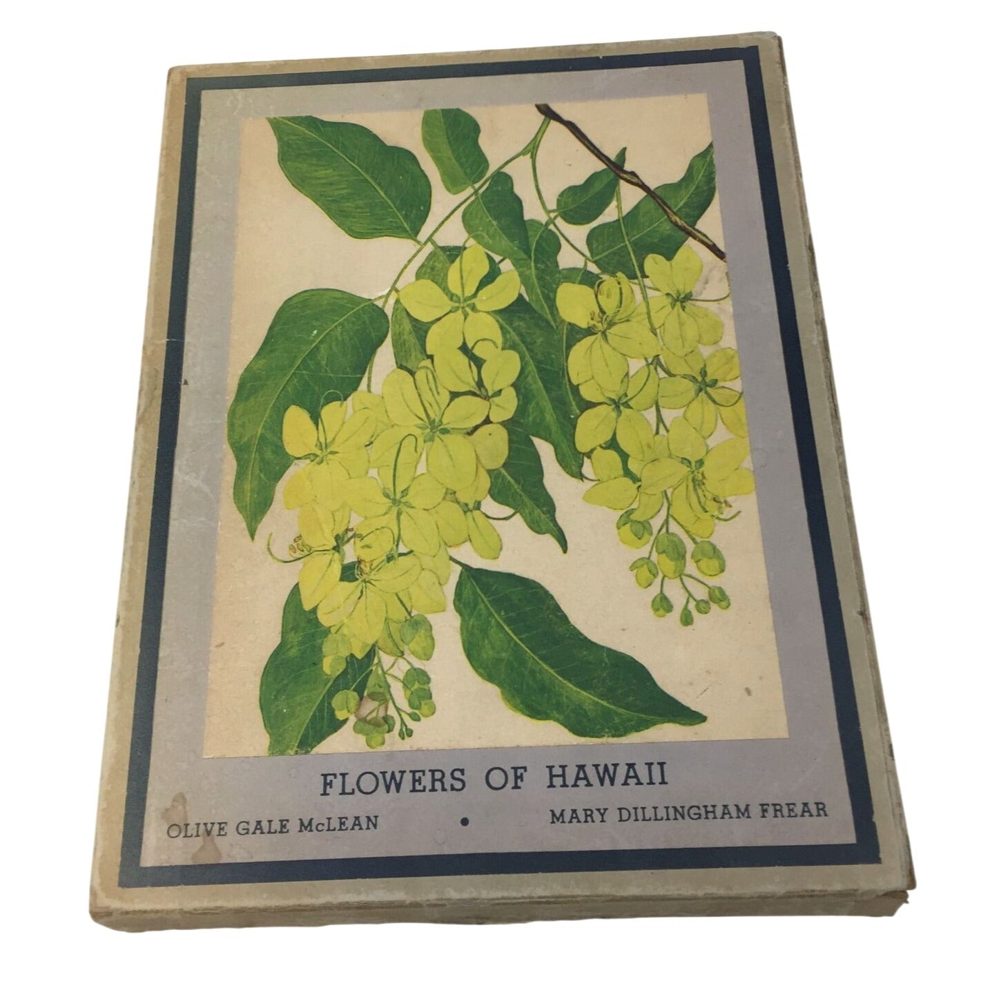 Collectible Vintage 1st Edition Tipped-In Book Print From the 1938 book "Flowers of Hawaii" unbranded  A+ Stuff Books