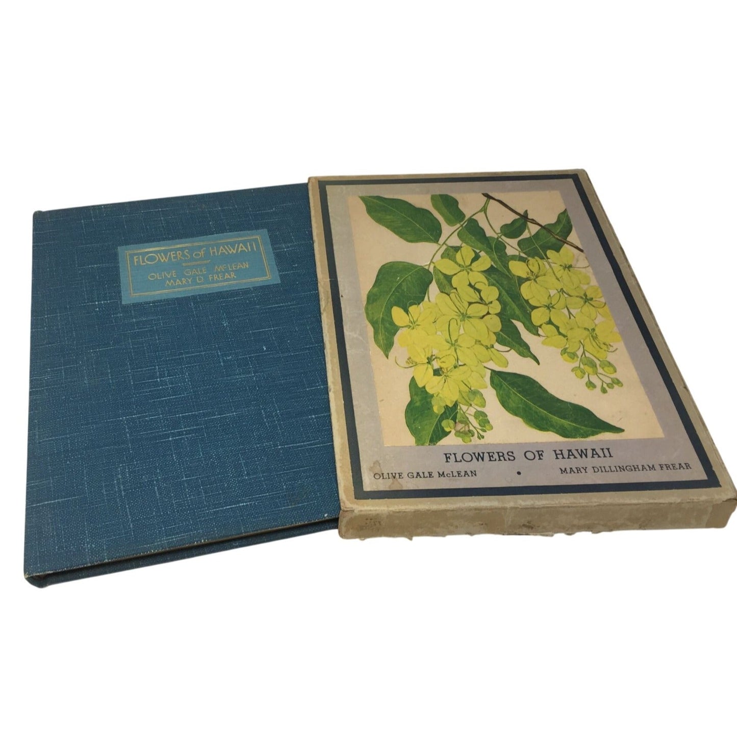 Collectible Vintage 1st Edition Tipped-In Book Print From the 1938 book "Flowers of Hawaii" unbranded  A+ Stuff Books