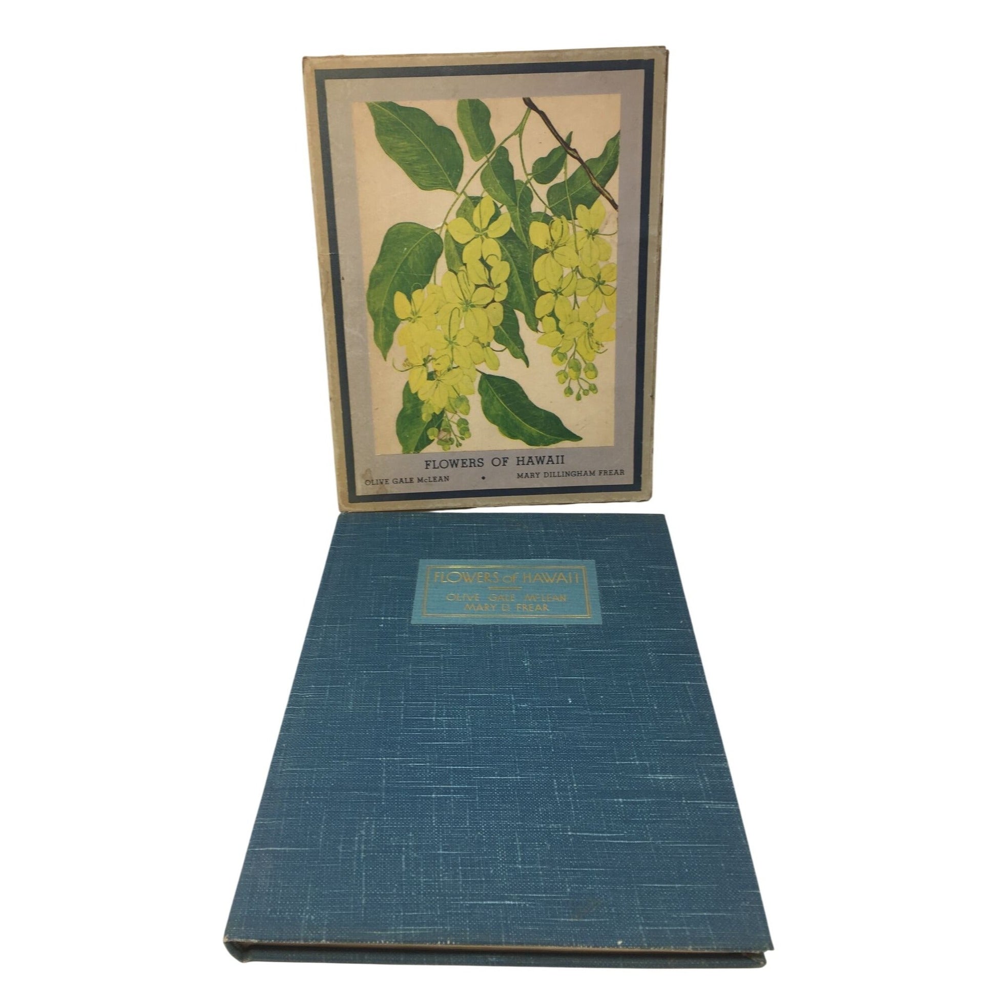 Collectible Vintage 1st Edition Tipped-In Book Print From the 1938 book "Flowers of Hawaii" unbranded  A+ Stuff Books