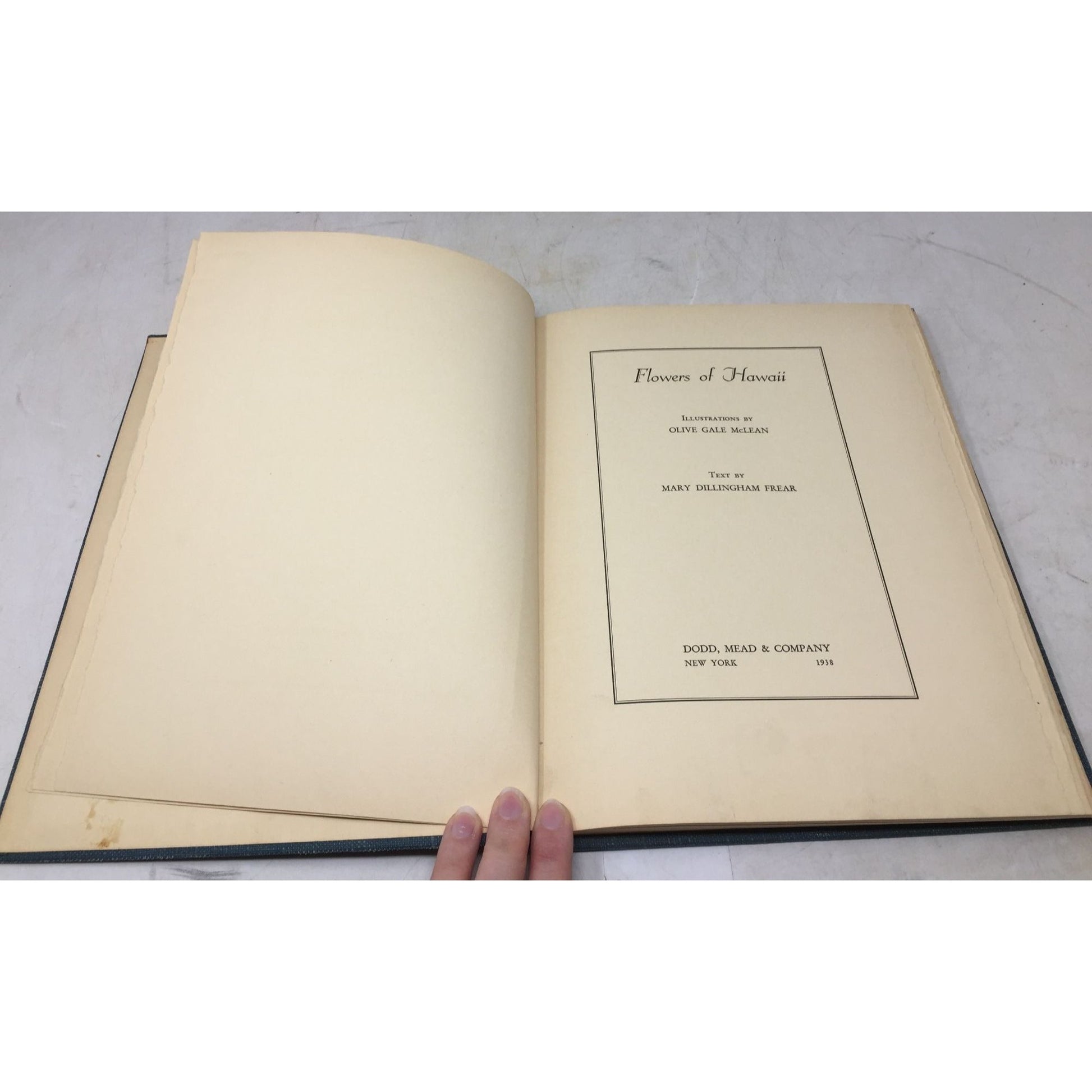 Collectible Vintage 1st Edition Tipped-In Book Print From the 1938 book "Flowers of Hawaii" unbranded  A+ Stuff Books