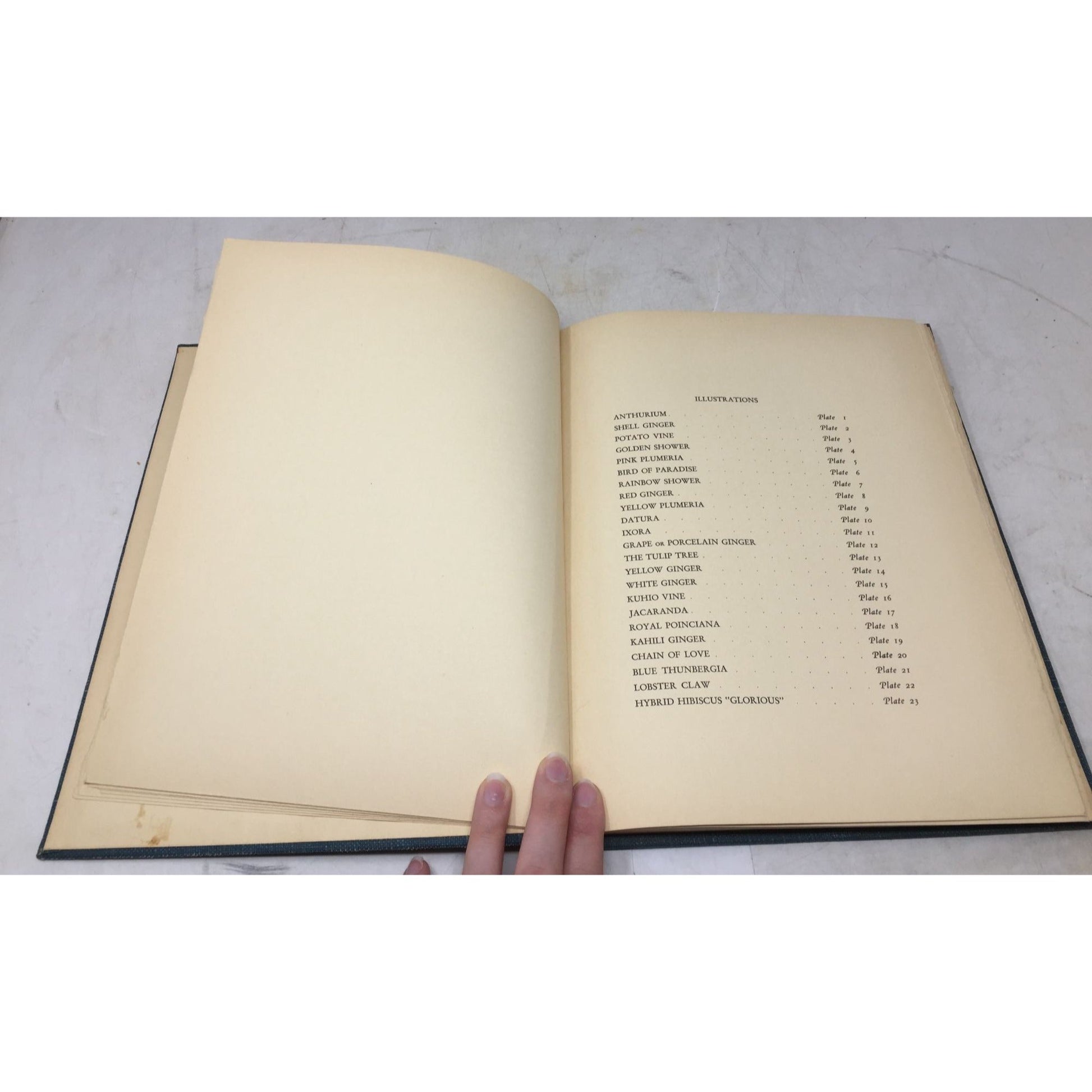 Collectible Vintage 1st Edition Tipped-In Book Print From the 1938 book "Flowers of Hawaii" unbranded  A+ Stuff Books