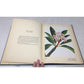 Collectible Vintage 1st Edition Tipped-In Book Print From the 1938 book "Flowers of Hawaii" unbranded  A+ Stuff Books