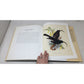 Frohawk's Birds of Hawaii A+ Stuff  A+ Stuff