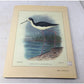 Frohawk's Birds of Hawaii A+ Stuff  A+ Stuff