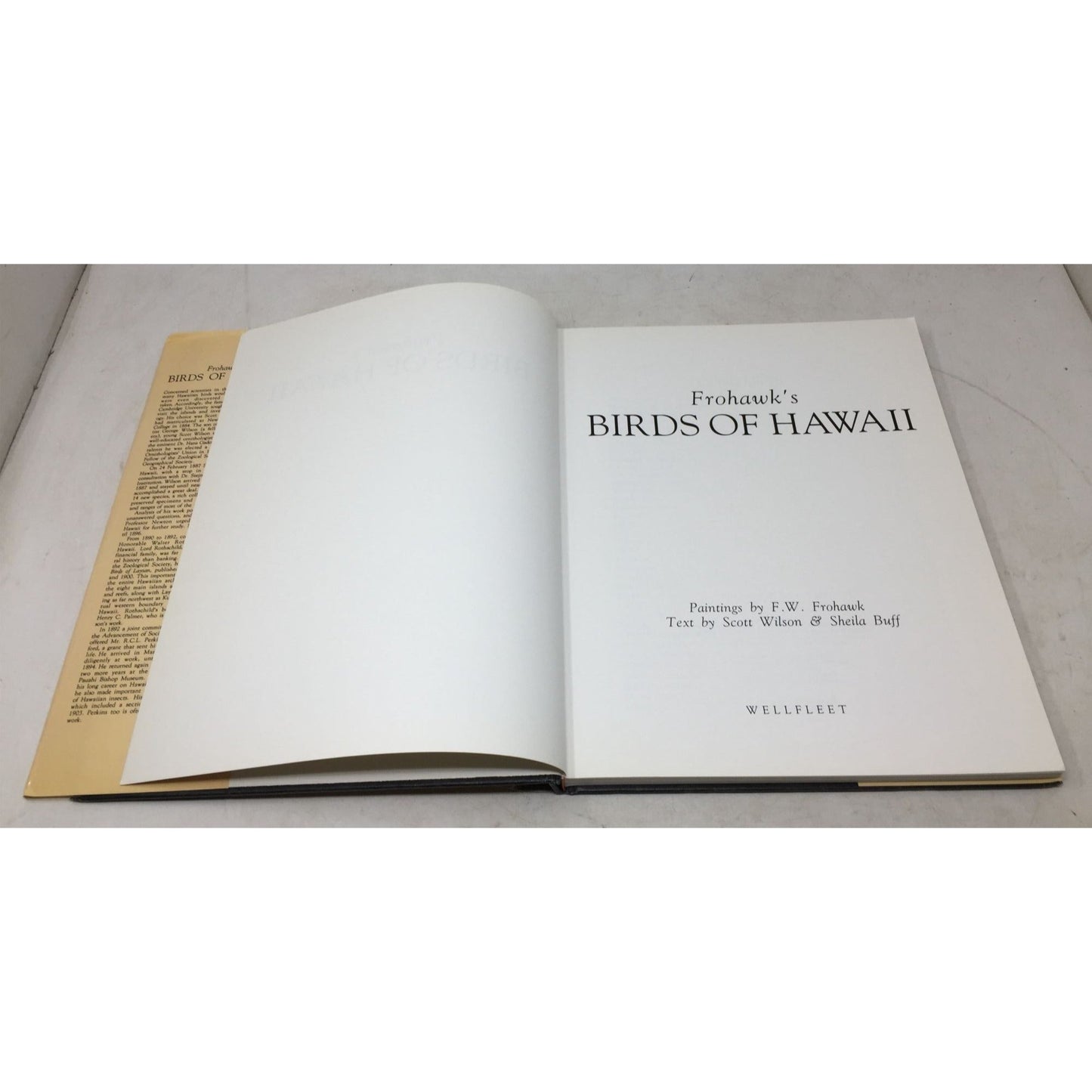 Frohawk's Birds of Hawaii A+ Stuff  A+ Stuff