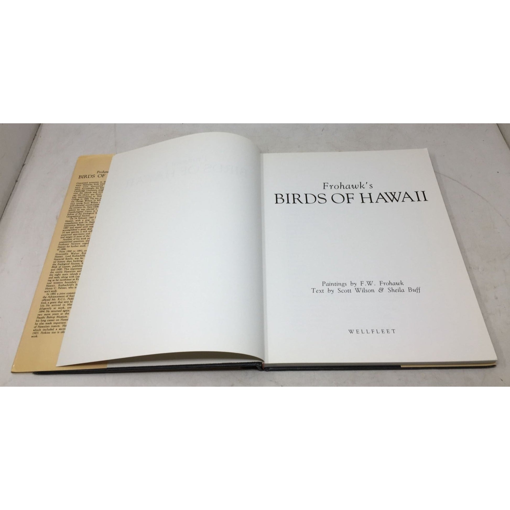 Frohawk's Birds of Hawaii A+ Stuff  A+ Stuff