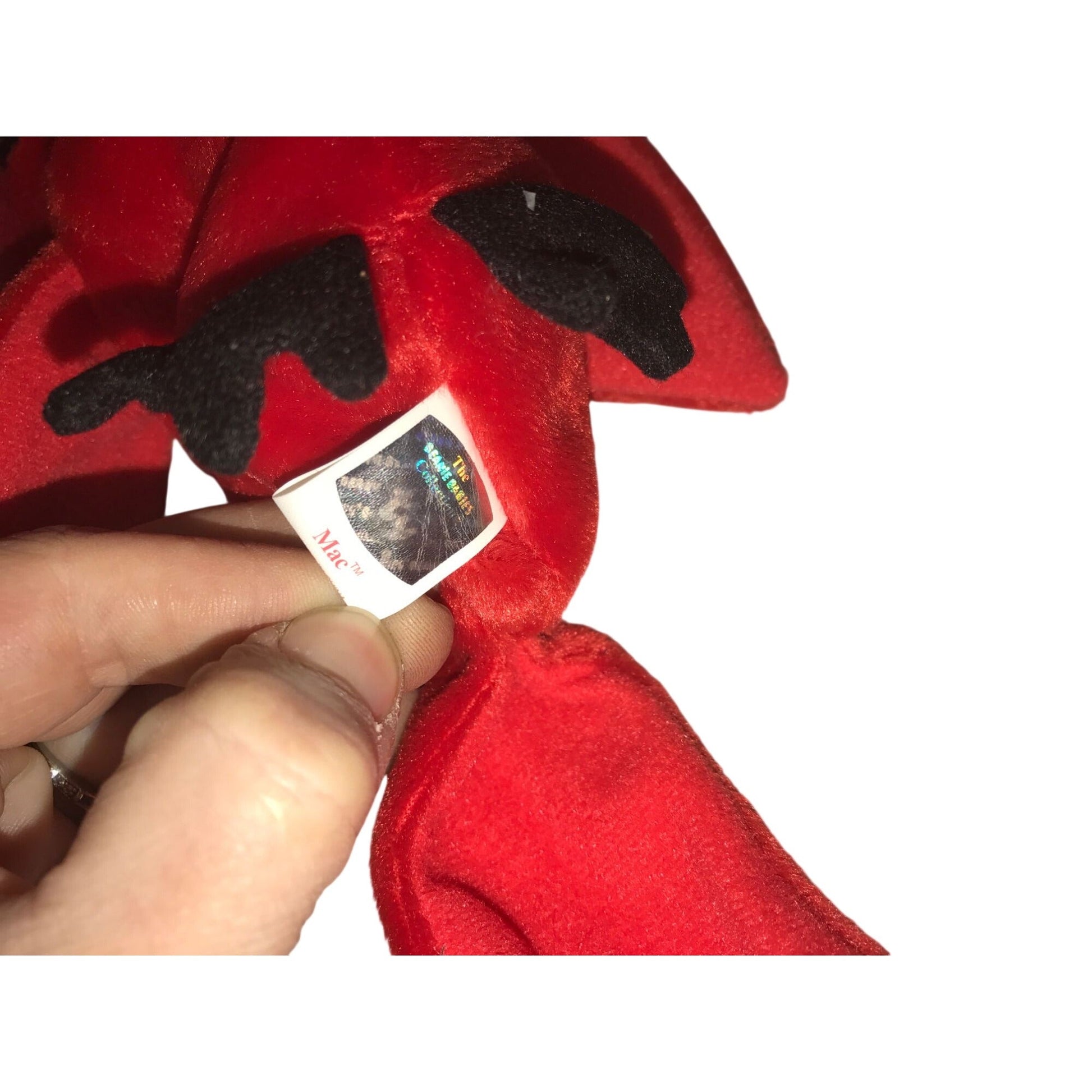 1998 Mac the Cardinal Beanie Baby TY Beanie Baby  A+ Stuff Plush Toys / Stuffed Animals