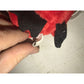 1998 Mac the Cardinal Beanie Baby TY Beanie Baby  A+ Stuff Plush Toys / Stuffed Animals