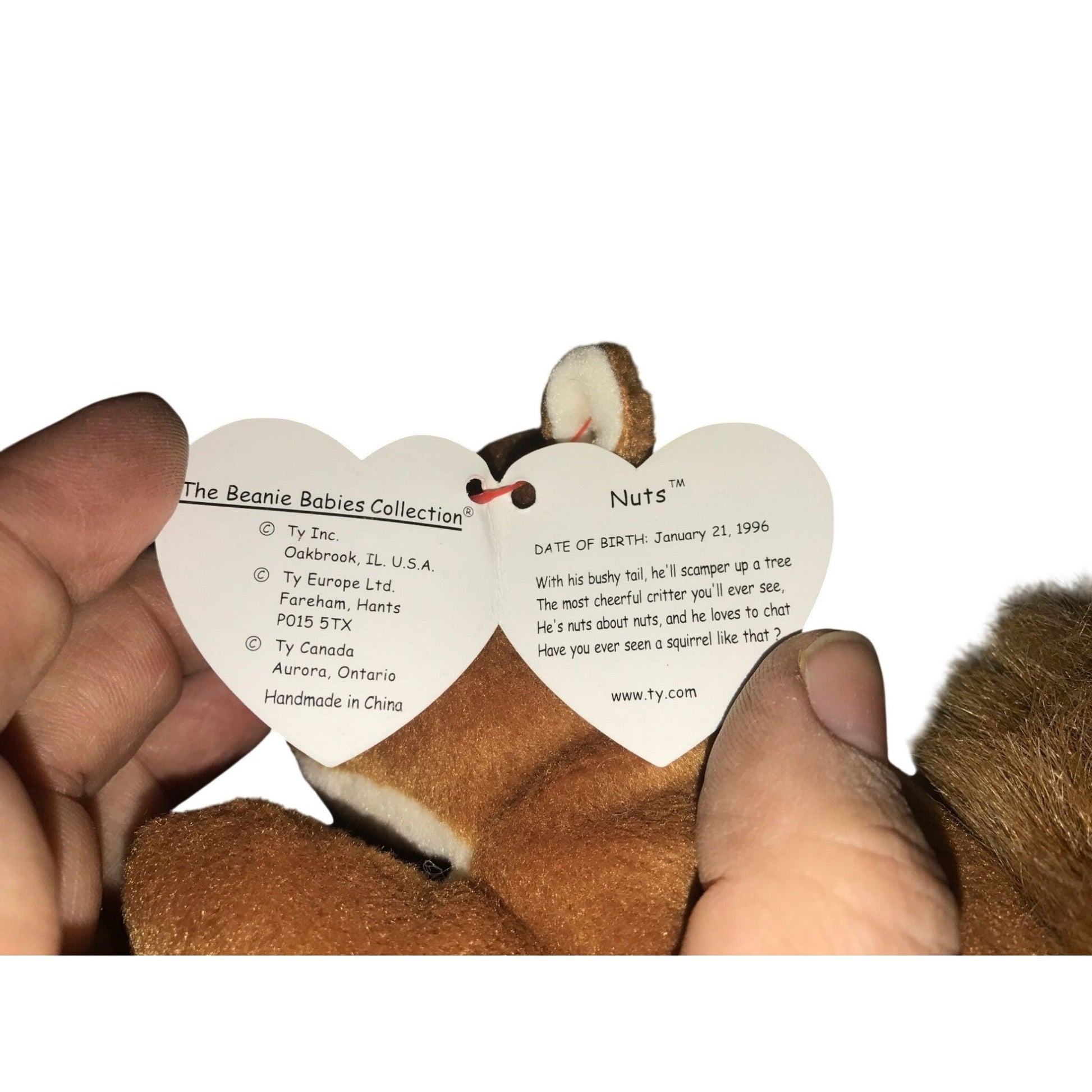 1996 Nuts the Squirrel Beanie Baby TY Beanie Baby  A+ Stuff Plush Toys / Stuffed Animals