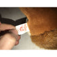 1996 Nuts the Squirrel Beanie Baby TY Beanie Baby  A+ Stuff Plush Toys / Stuffed Animals