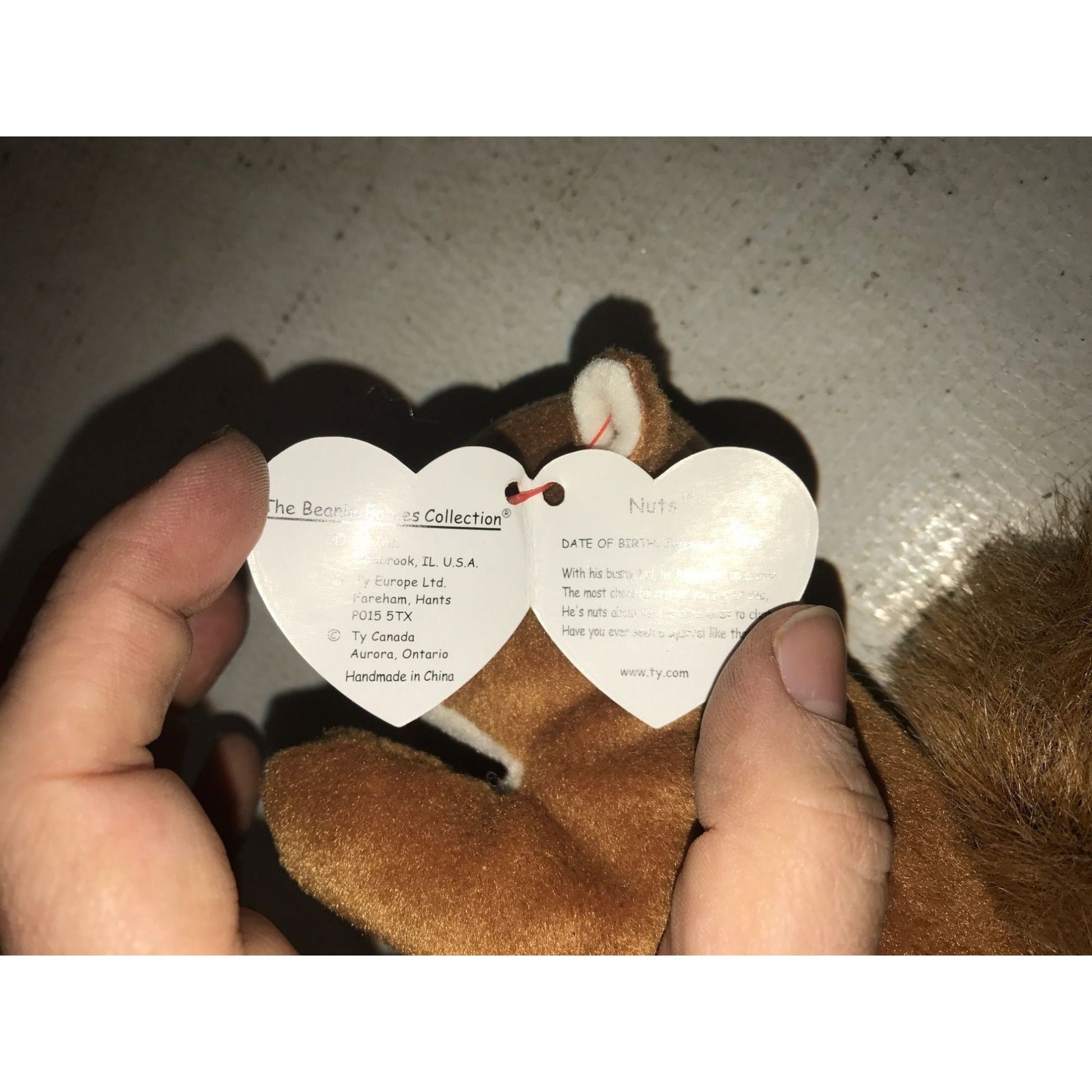1996 Nuts the Squirrel Beanie Baby TY Beanie Baby  A+ Stuff Plush Toys / Stuffed Animals