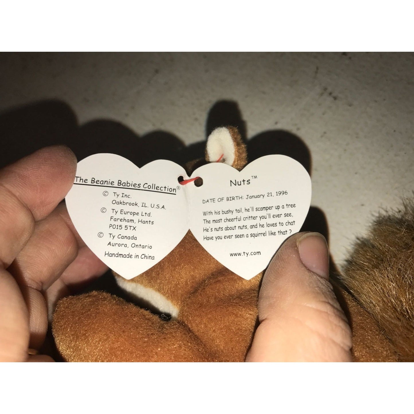 1996 Nuts the Squirrel Beanie Baby TY Beanie Baby  A+ Stuff Plush Toys / Stuffed Animals