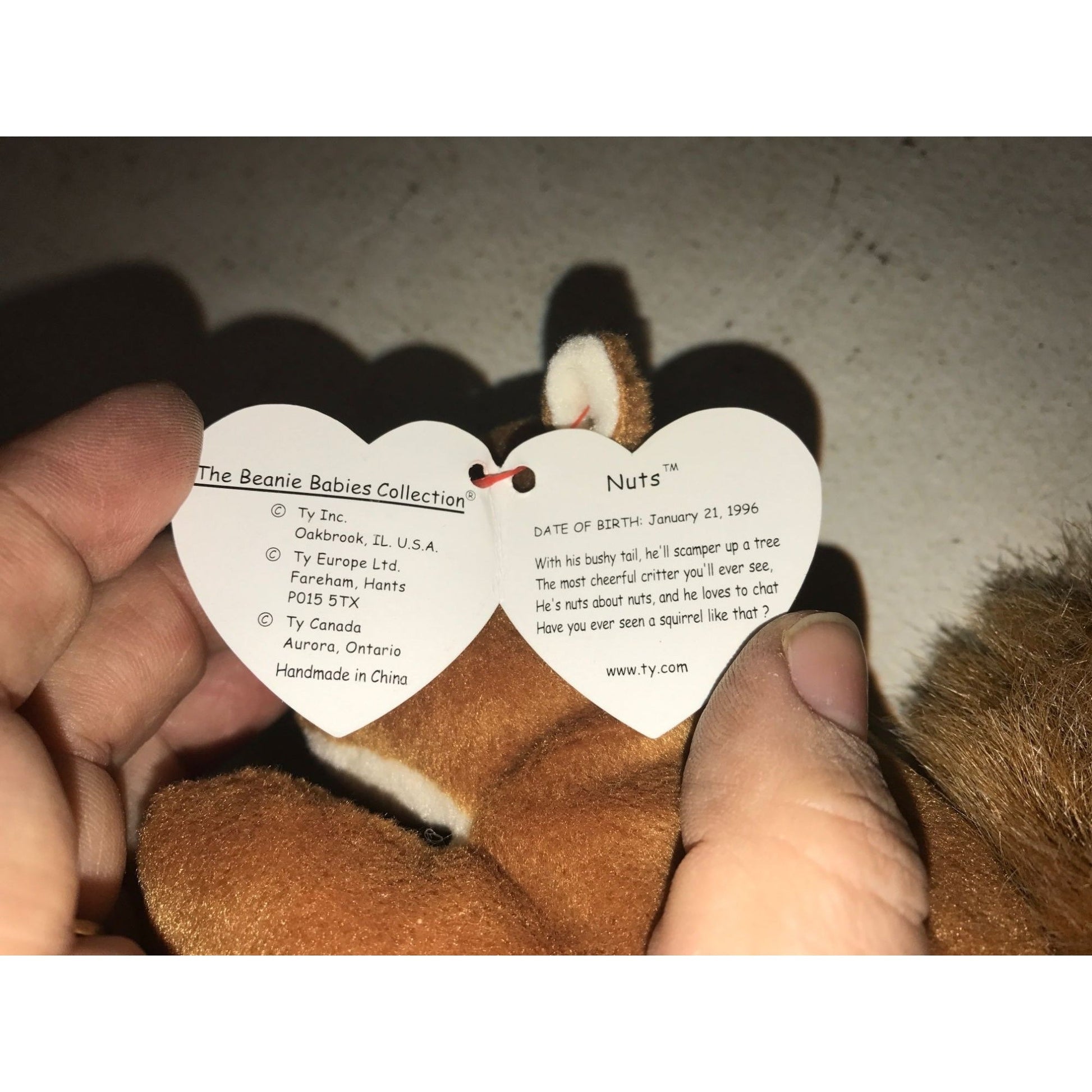 1996 Nuts the Squirrel Beanie Baby TY Beanie Baby  A+ Stuff Plush Toys / Stuffed Animals