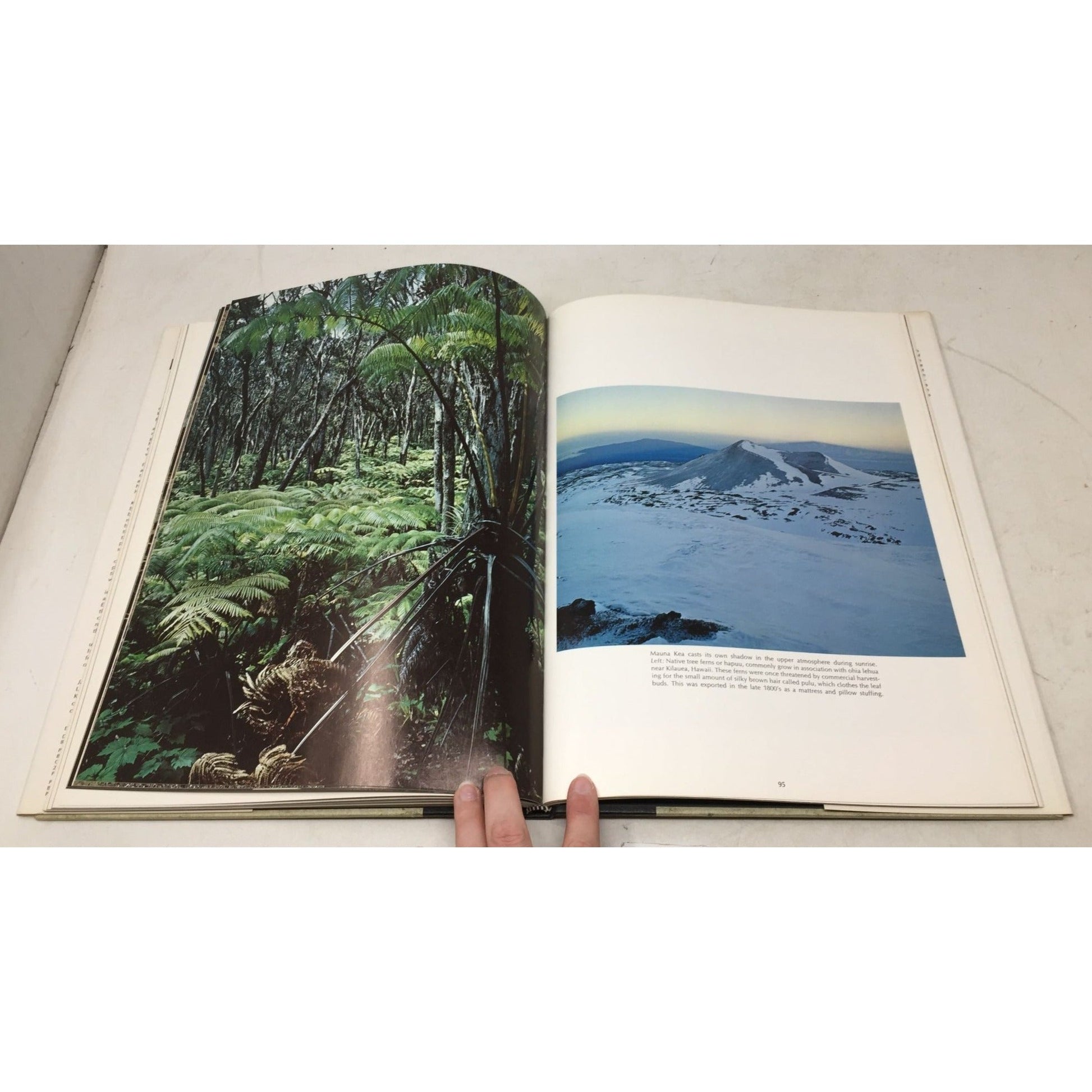 First Edition Hardcover Copy of Eternal Hawaii A+ Stuff  A+ Stuff