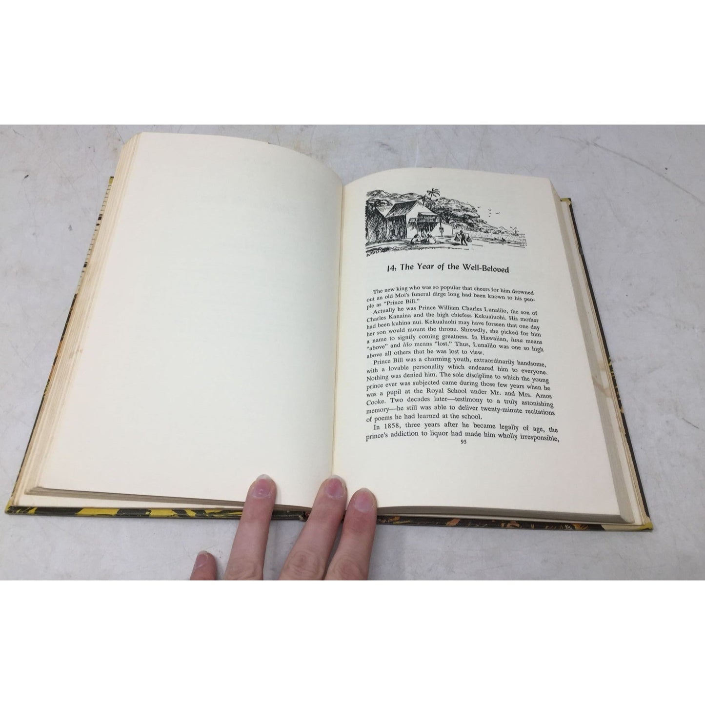 Vintage Book "The Hawaiian Islands: From Monarchy to Democracy" by Nancy Webb and Jean Francis Webb unbranded  A+ Stuff Vintage Books