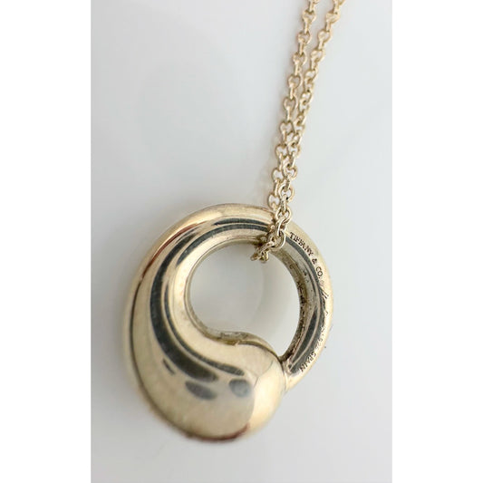 Tiffany & Co Elsa Peretti Eternal Circle Pendant with Necklace in Sterling