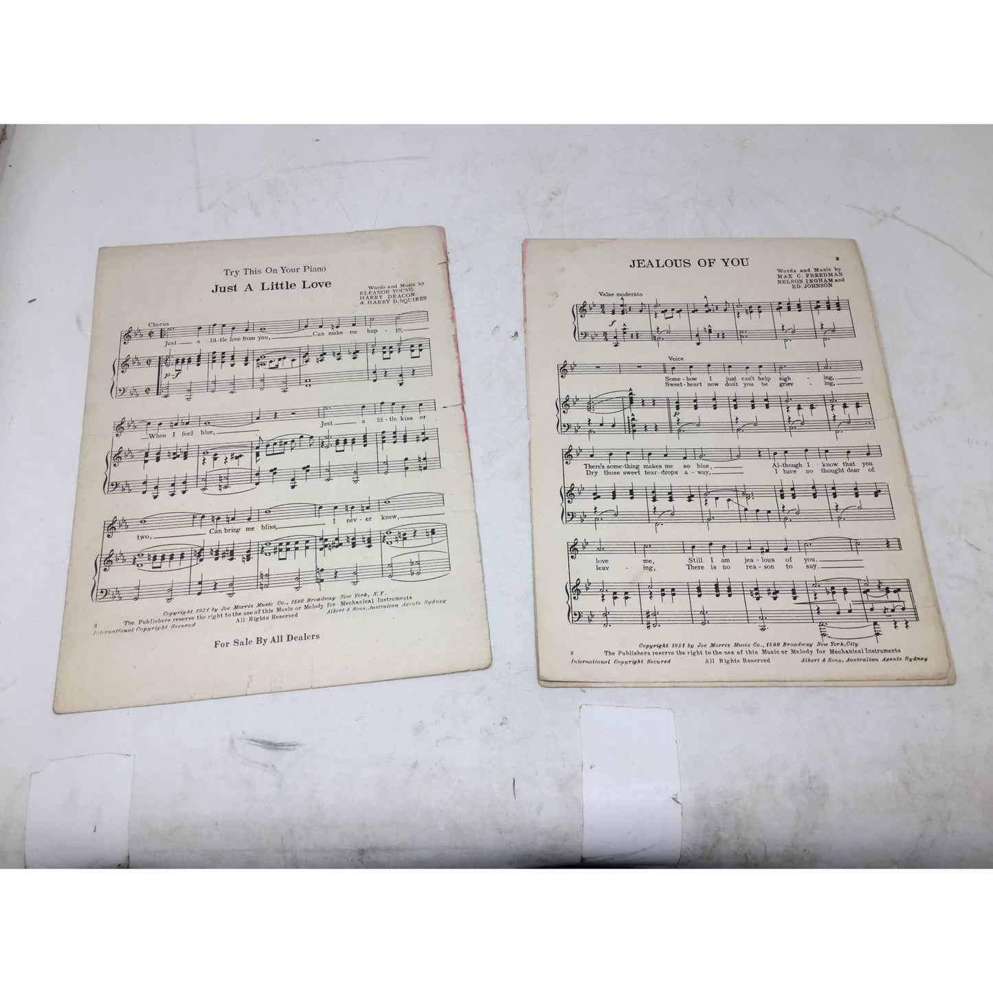 ''JEALOUS OF YOU'' ANTIQUE SHEET MUSIC BOOK