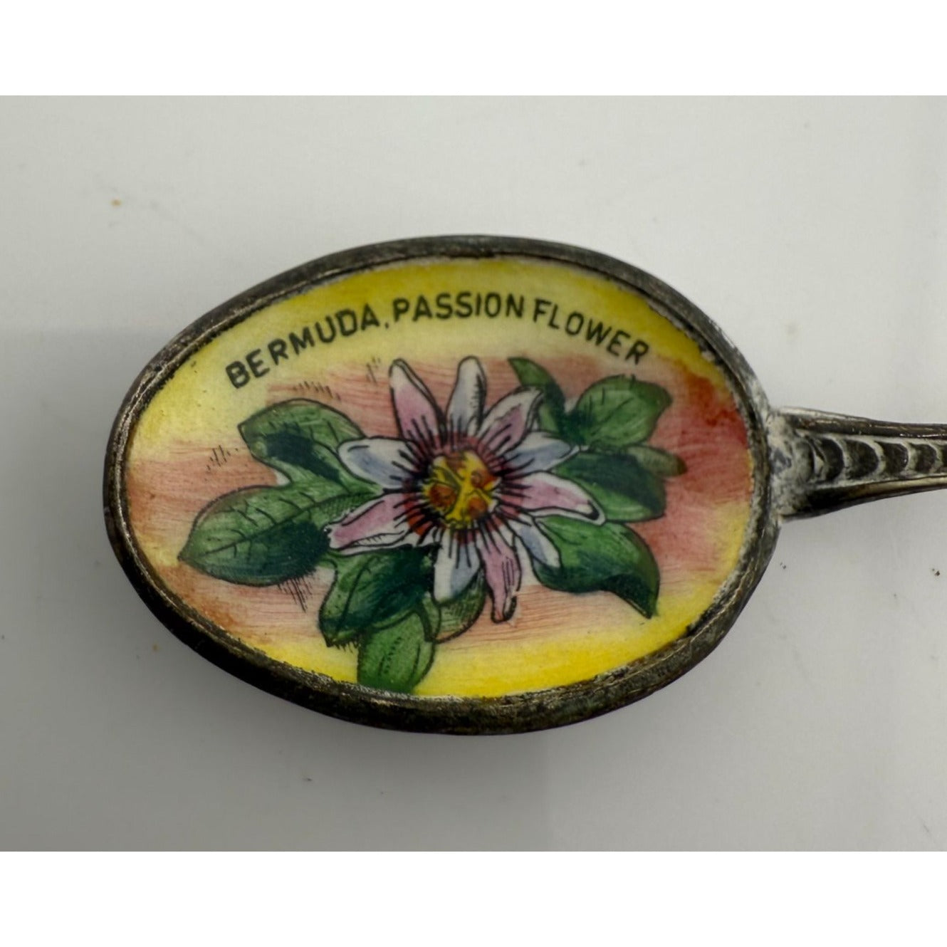 Vintage Collectible Bermuda Passion Flower Spoon