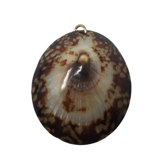 Vintage Brown/White Sea Shell Pendant For Necklace