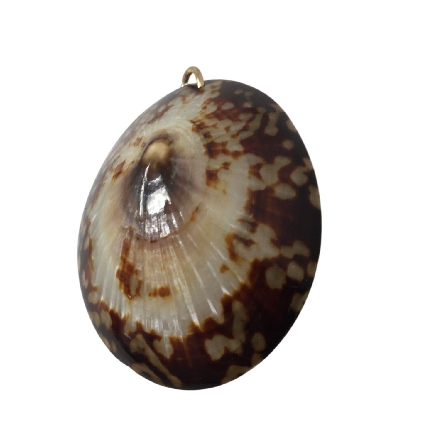 Vintage Brown/White Sea Shell Pendant For Necklace