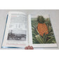 The Hawaiian Islands and the Story of Pineapple unbranded  A+ Stuff Vintage Books