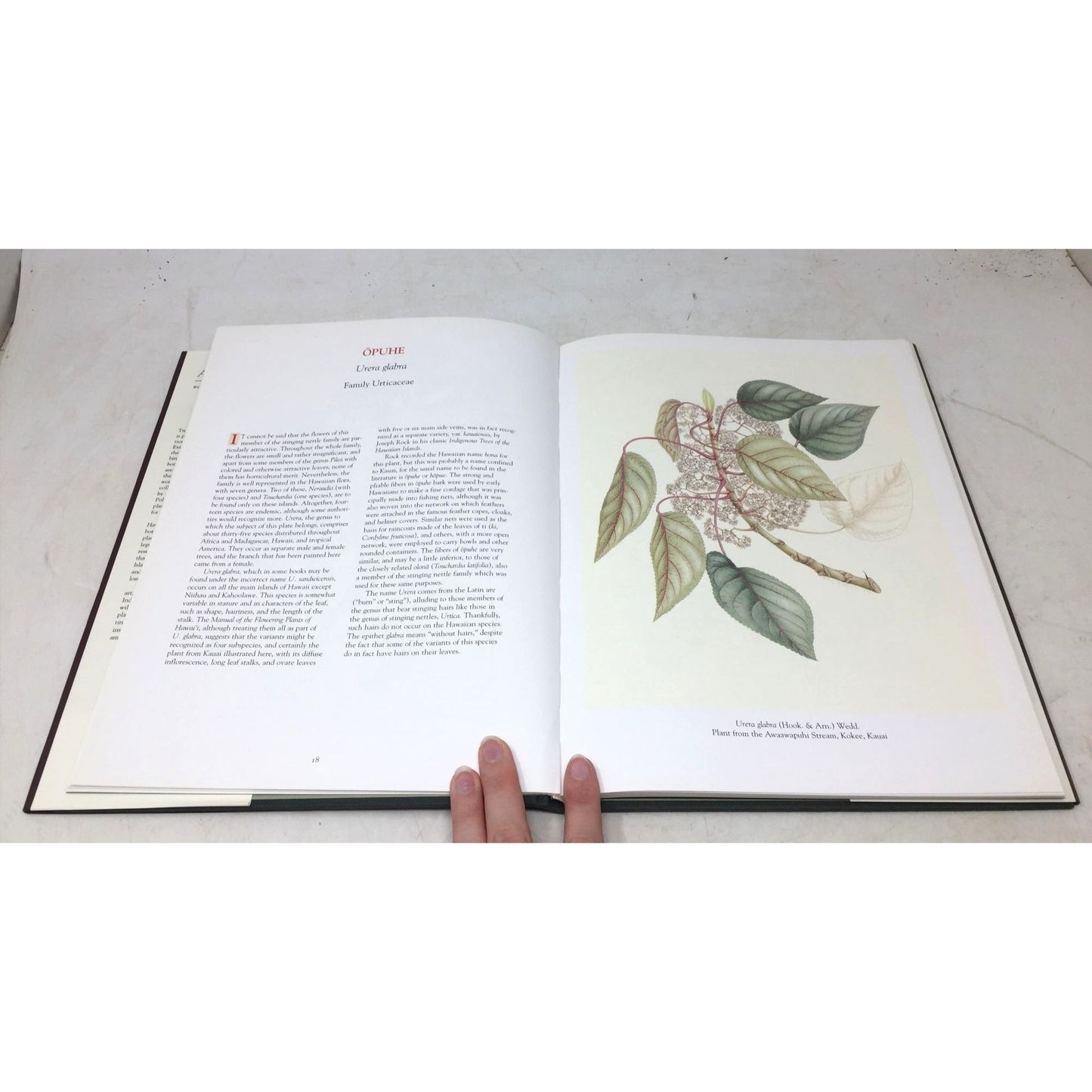 A Hawaiian Florilegium: Botanical Portraits from Paradise unbranded  A+ Stuff Vintage Books
